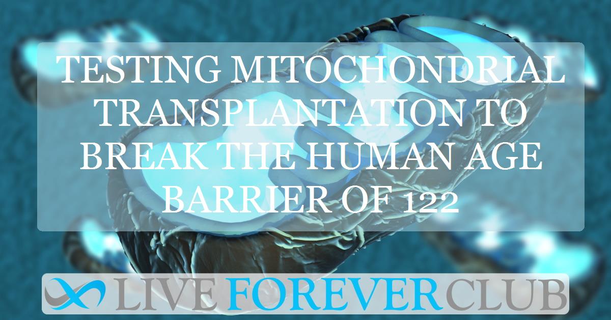 Testing mitochondrial transplantation to break the human age barrier of 122
