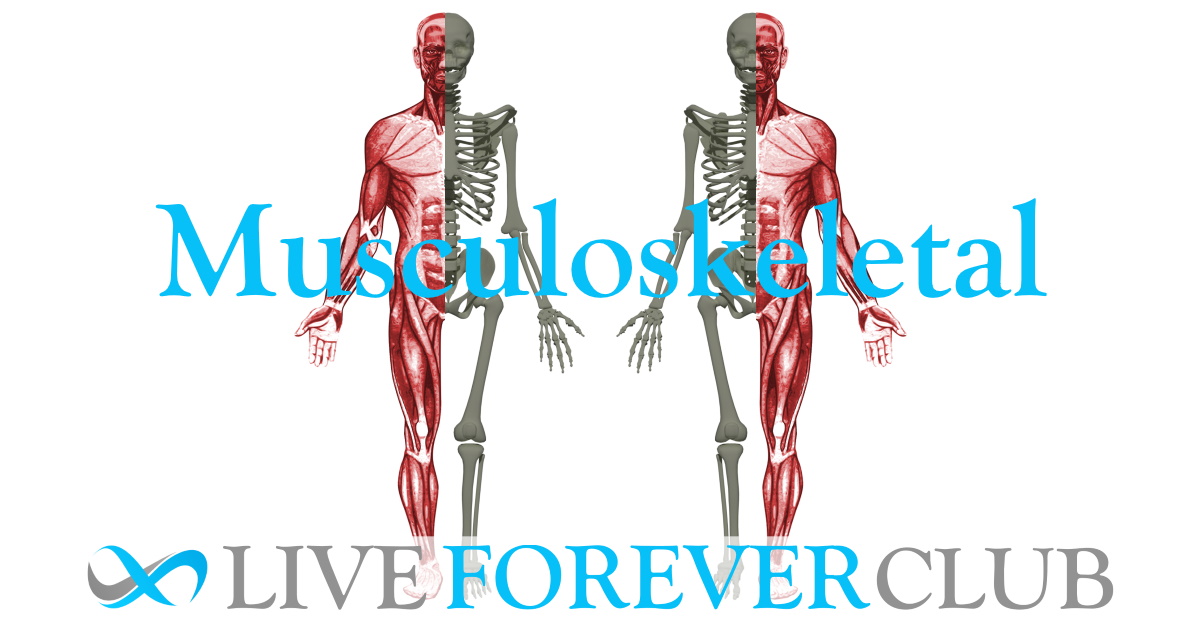 Musculoskeletal