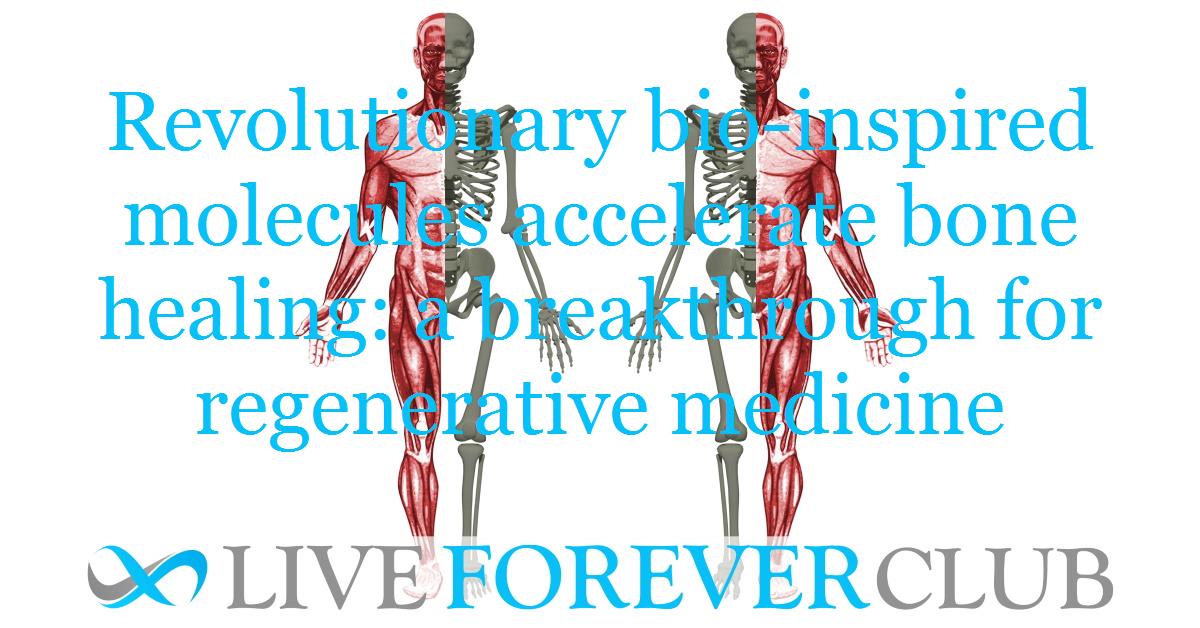 Revolutionary bio-inspired molecules accelerate bone healing: a breakthrough for regenerative medicine