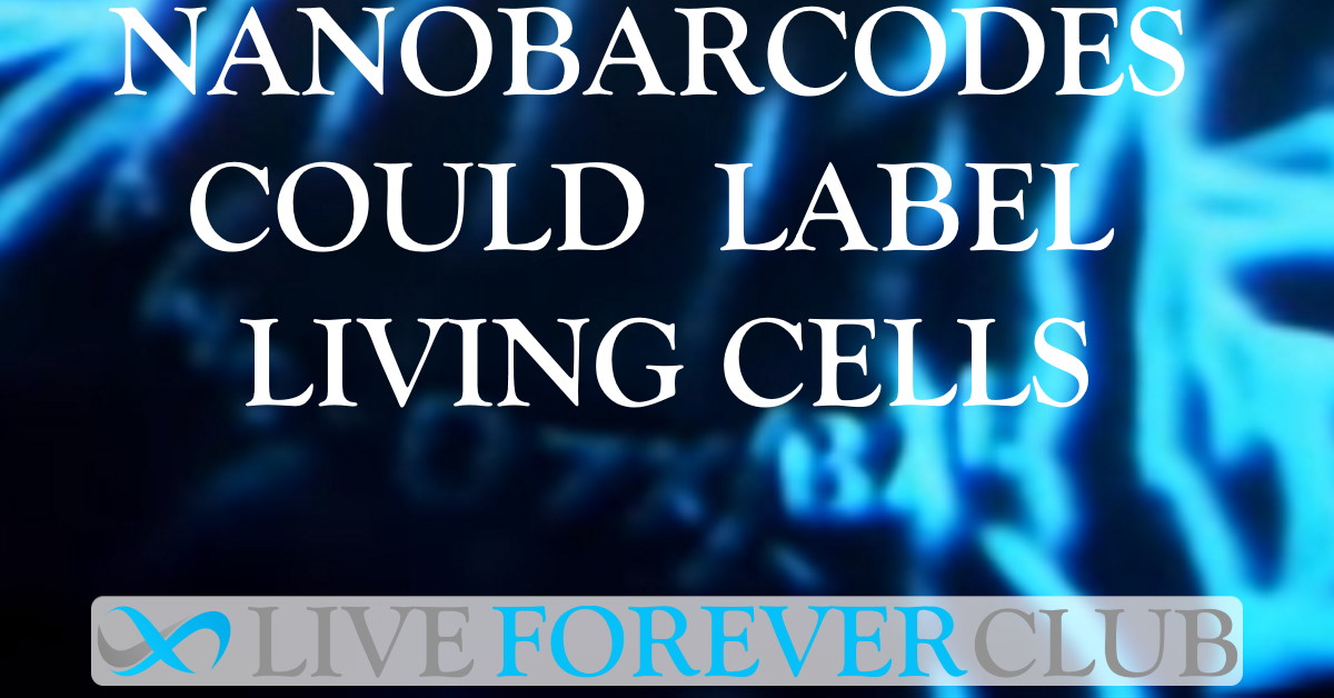 Nanobarcodes could be used to label individual living cells