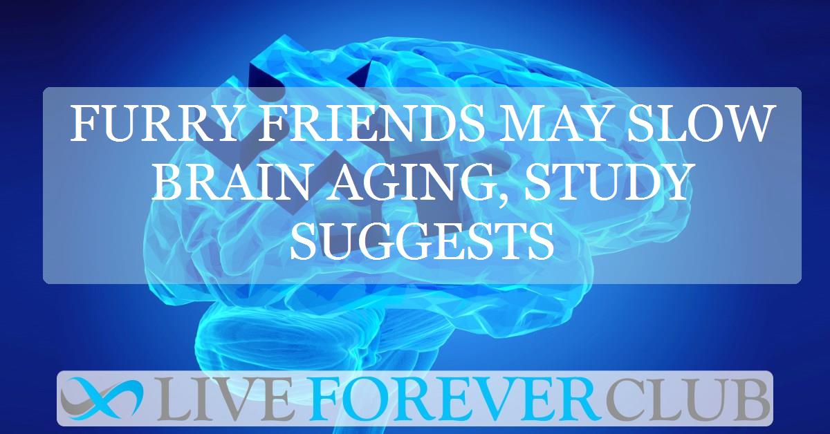 Furry friends may slow brain aging, study suggests
