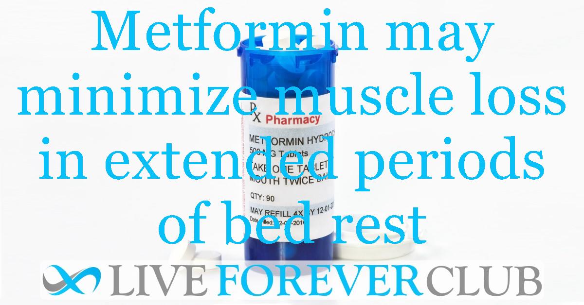 Metformin may minimize muscle loss in extended periods of bed rest