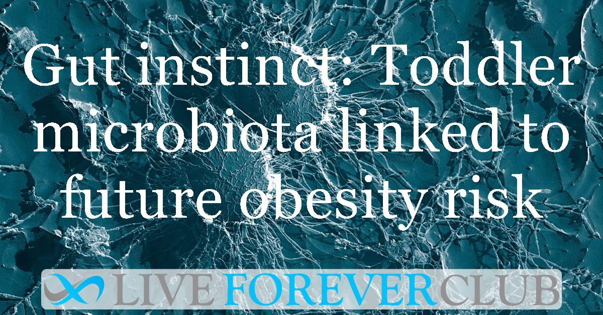 Gut instinct: Toddler microbiota linked to future obesity risk