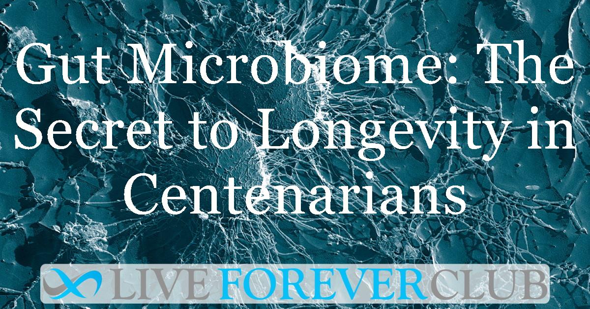 Gut Microbiome: The Secret to Longevity in Centenarians