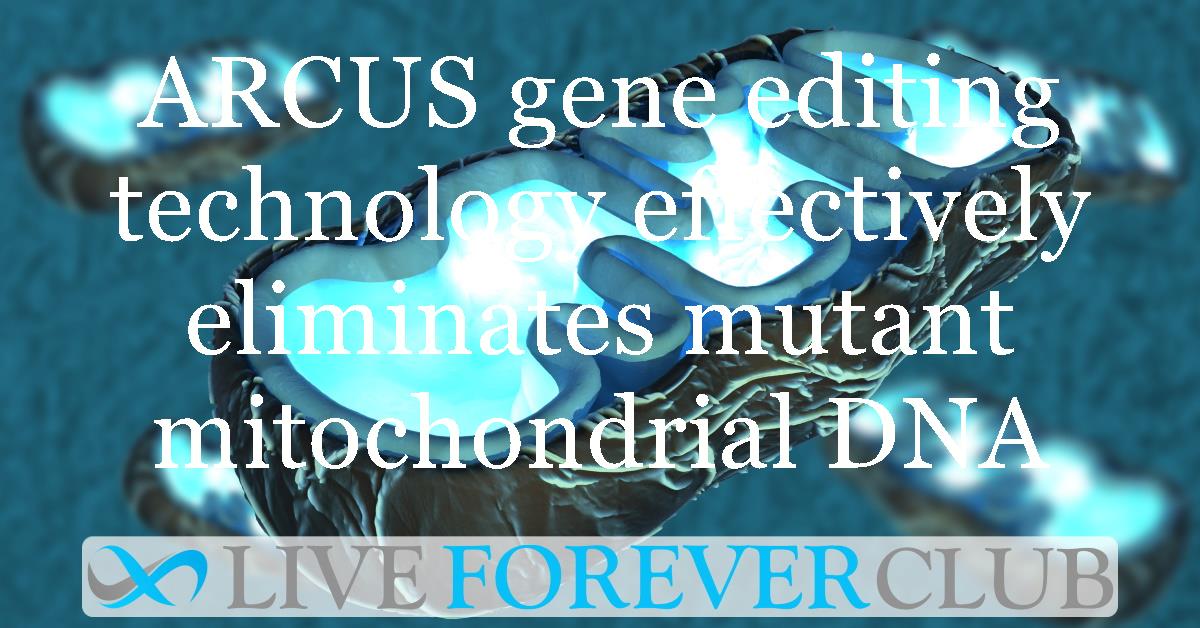 ARCUS gene editing technology effectively eliminates mutant mitochondrial DNA
