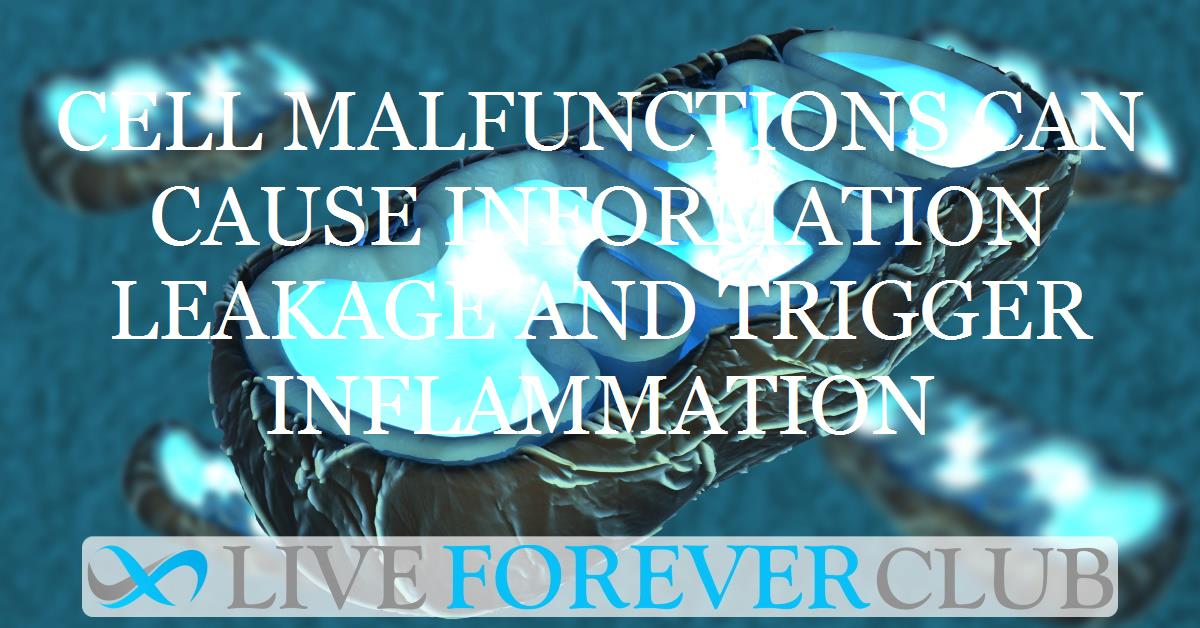Cell malfunctions can cause information leakage and trigger inflammation