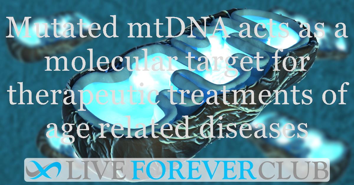 Mutated mtDNA acts as a molecular target for therapeutic treatments of age related diseases
