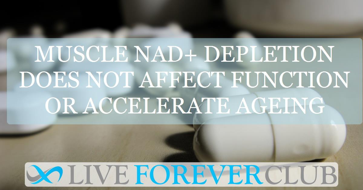 Muscle NAD+ depletion does not affect function or accelerate ageing
