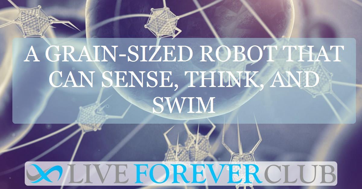 A grain-sized robot that can sense, think, and swim