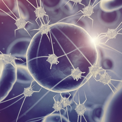 More Nanobots information, news and resources