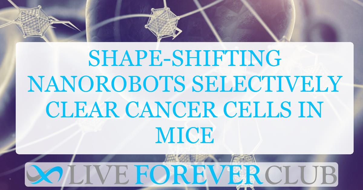 Shape-shifting nanorobots selectively clear cancer cells in mice