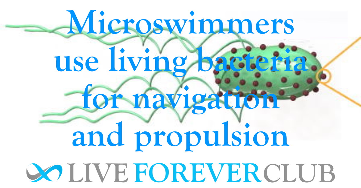 Squeezing red blood cells onto E. coli creates a bio delivery system