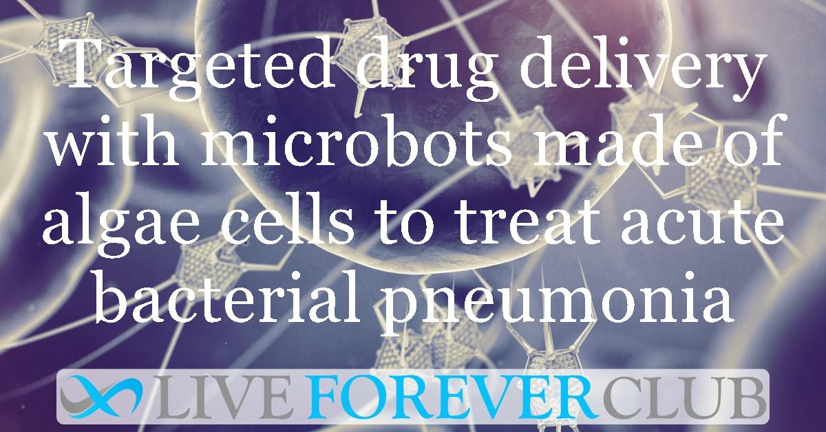 Targeted drug delivery with microbots made of algae cells to treat acute bacterial pneumonia