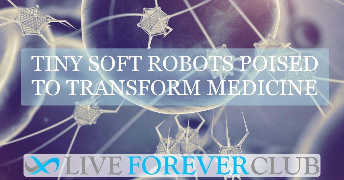 Tiny soft robots poised to transform medicine
