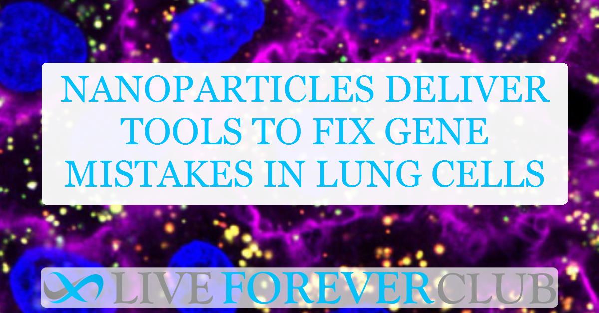 Nanoparticles deliver tools to fix gene mistakes in lung cells