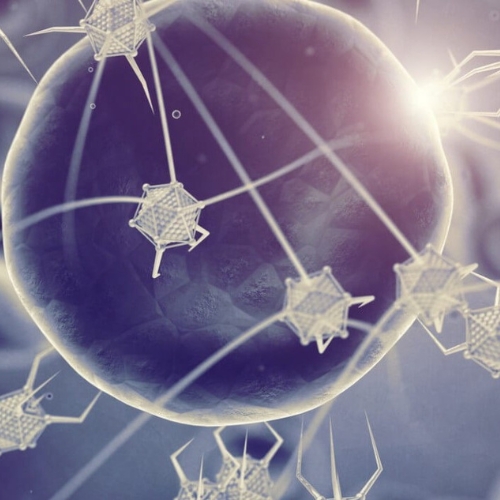 Breaking barriers: A new nanoparticle delivers drugs directly inside cells