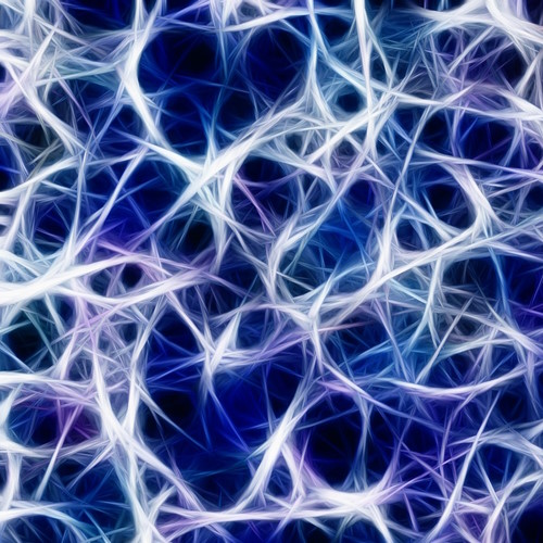 More Nervous System information, news and resources