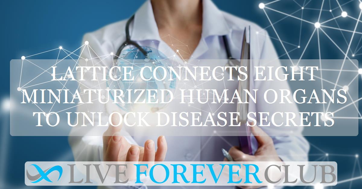 Lattice connects eight miniaturized human organs to unlock disease secrets