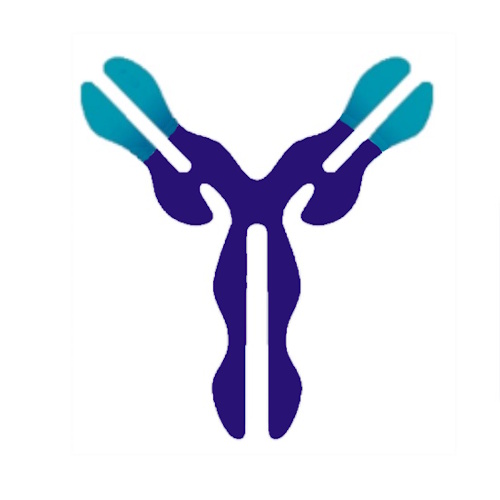 BIOTEM information and news
