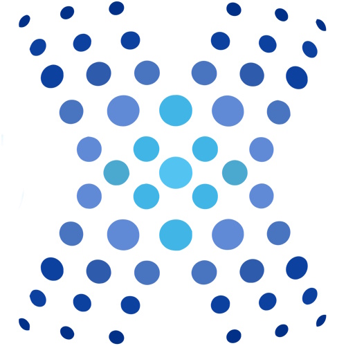 BioXcellerator information and news