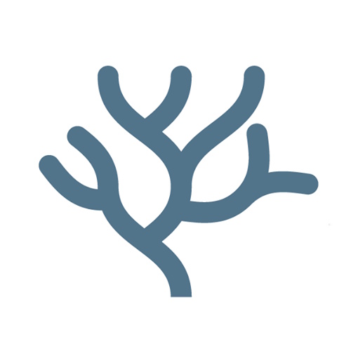 Blue Healthcare information and news