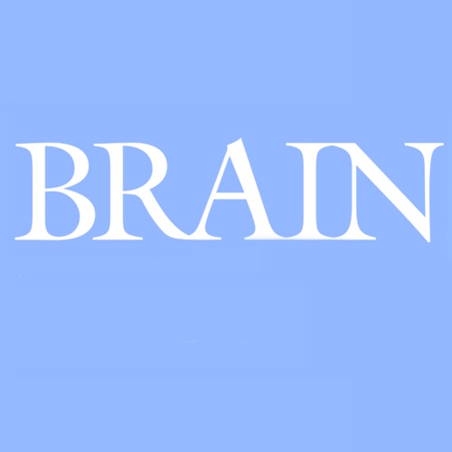 Brain information and news