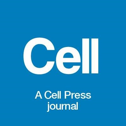 Cell information and news