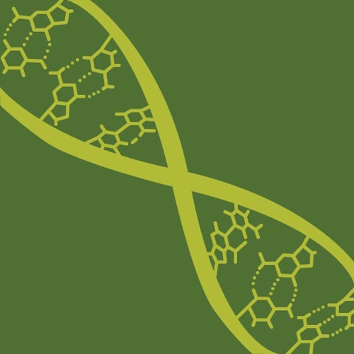 Genentech information and news