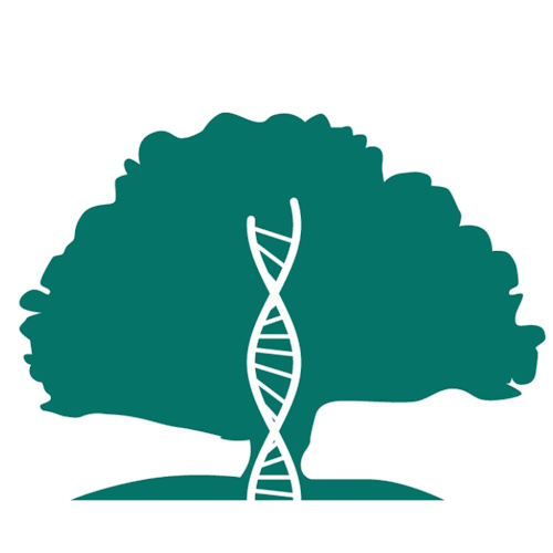 Institute of Healthy Ageing (IHA) information and news