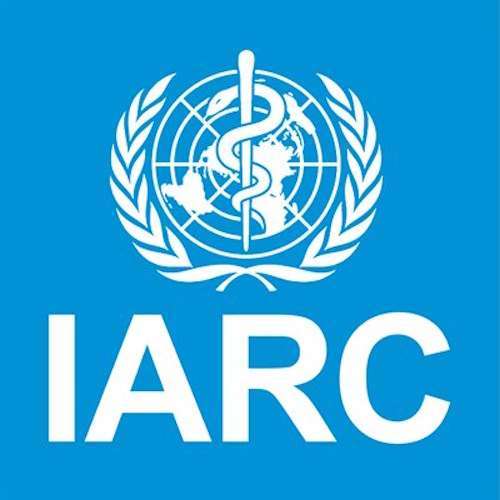 International Agency for Research on Cancer (IARC) information and news