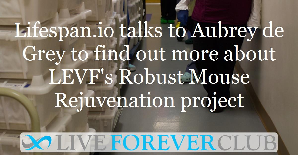 Lifespan.io talks to Aubrey de Grey to find out more about LEVF's Robust Mouse Rejuvenation project