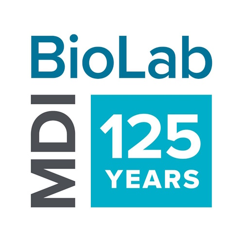 MDI Biological Laboratory information and news