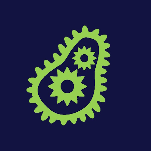 Microorganisms information and news