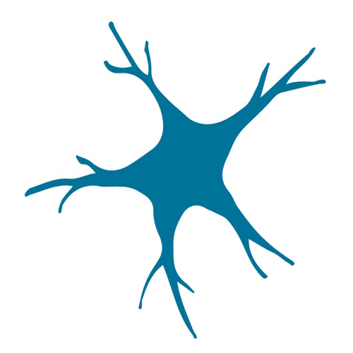 Starfish neuroscience unveils plans for tiny, wireless brain chip