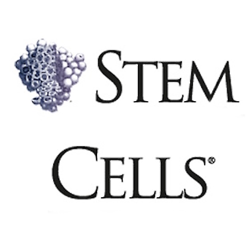 Stem Cells information and news
