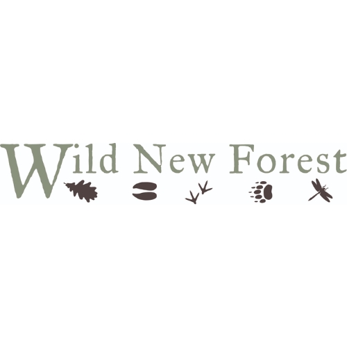 Wild New Forest information and news