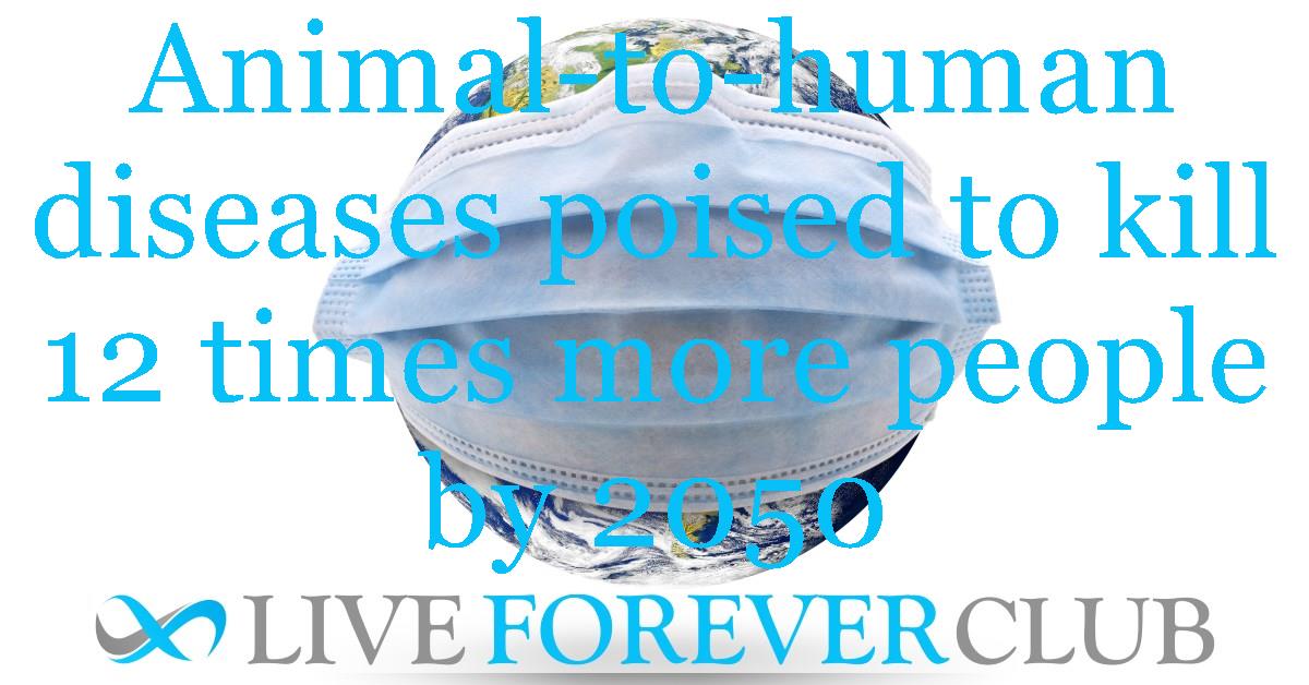 Animal-to-human diseases poised to kill 12 times more people by 2050