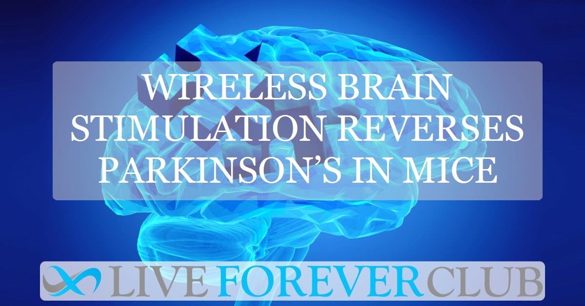 Wireless brain stimulation reverses Parkinson’s in mice