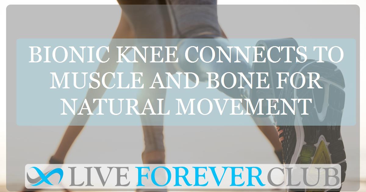 Bionic knee connects to muscle and bone for natural movement