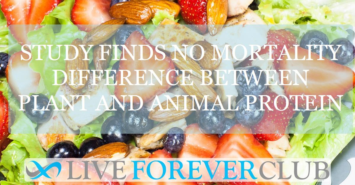 Study finds no mortality difference between plant and animal protein