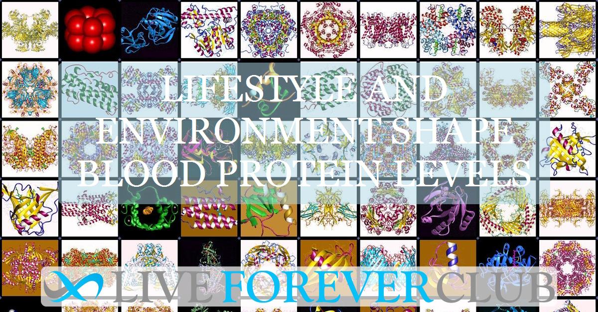 Lifestyle and environment shape blood protein levels