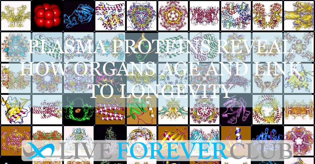 Plasma proteins reveal how organs age and link to longevity
