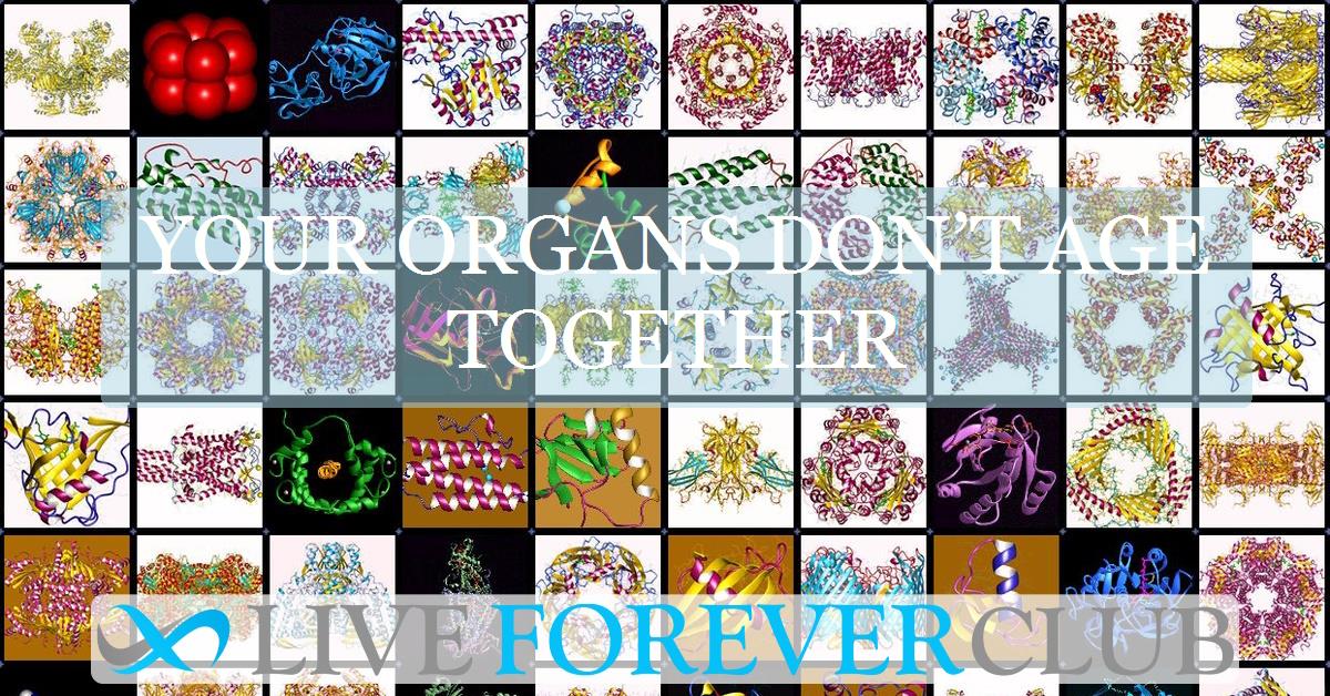 Your organs don’t age together