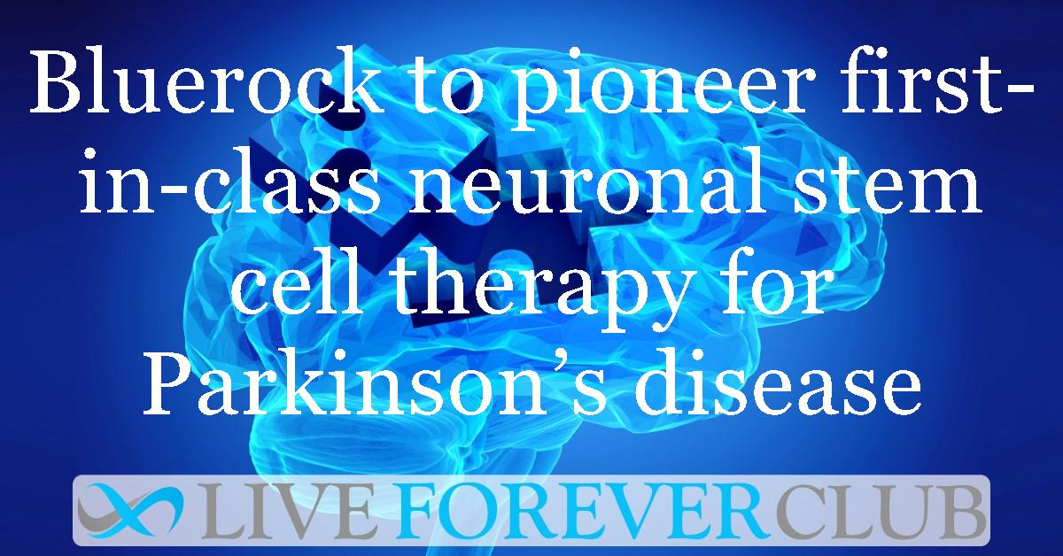 Bluerock to pioneer first-in-class neuronal stem cell therapy for Parkinson’s disease