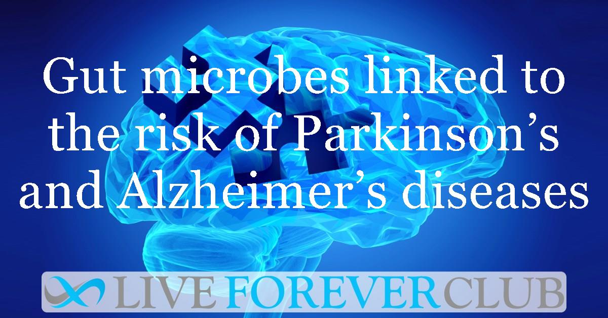 Gut microbes linked to the risk of Parkinson’s and Alzheimer’s diseases