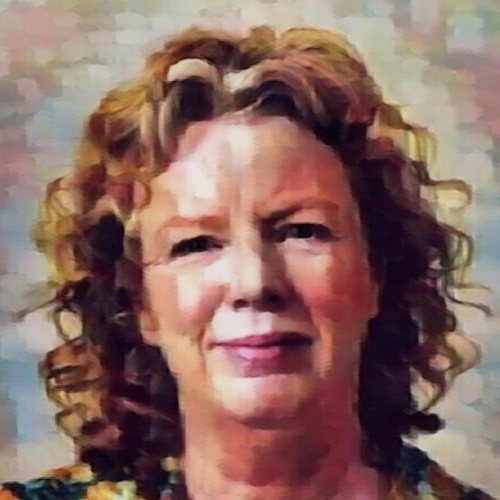 Suzanne O’Sullivan information and news
