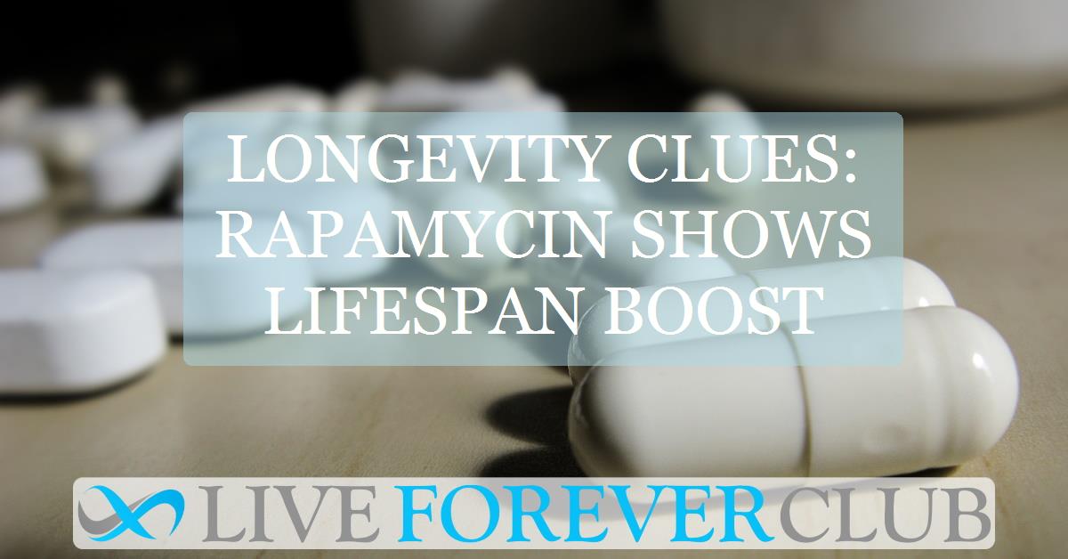 Longevity clues: rapamycin shows lifespan boost