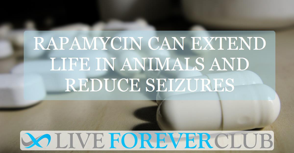 Rapamycin can extend life in animals and reduce seizures