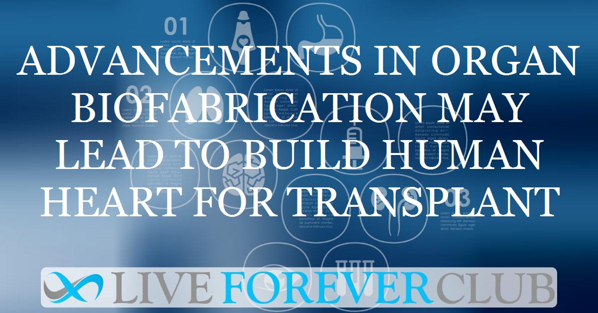 Advancements in organ biofabrication may lead to build human heart for transplant