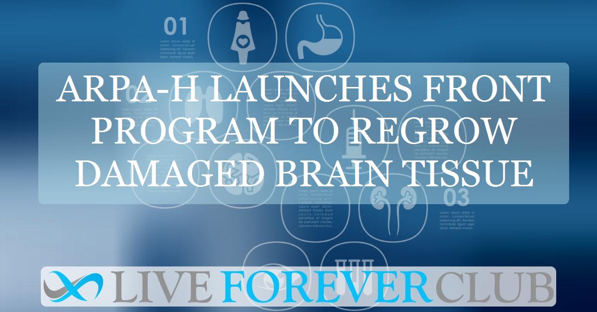 ARPA-H launches FRONT program to regrow damaged brain tissue
